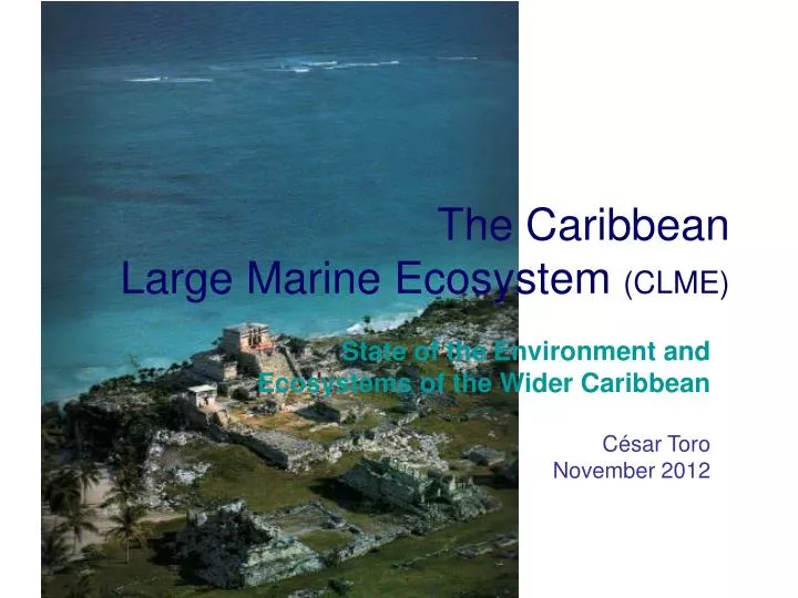 the caribbean large marine ecosystem clme