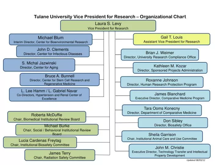 tulane university vice president for research organizational chart