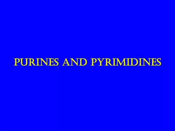 purines and pyrimidines