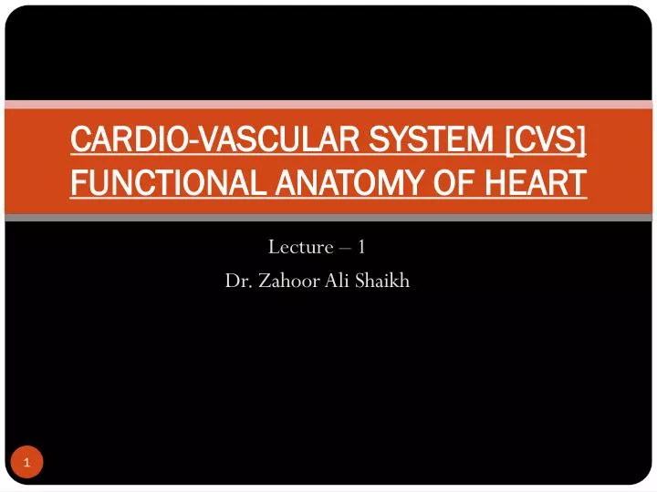 cardio vascular system cvs functional anatomy of heart