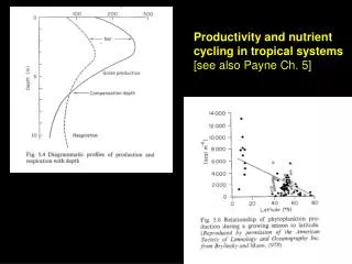 Productivity and nutrient cycling in tropical systems [see also Payne Ch. 5]