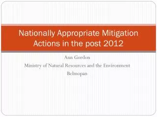 Nationally Appropriate Mitigation Actions in the post 2012