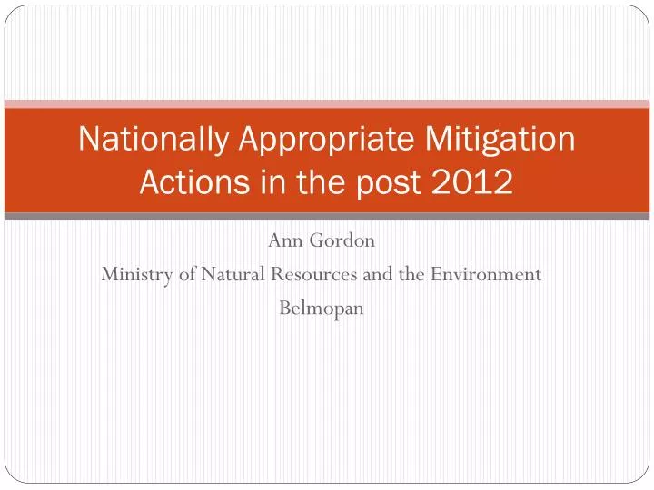 nationally appropriate mitigation actions in the post 2012