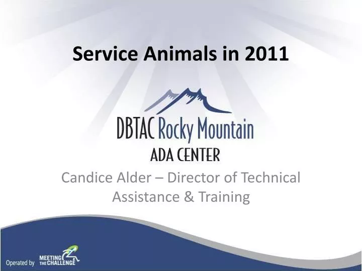 service animals in 2011