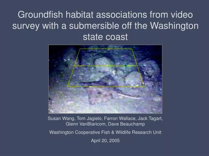 groundfish habitat associations from video survey with a submersible off the washington state coast