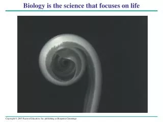 Biology is the science that focuses on life