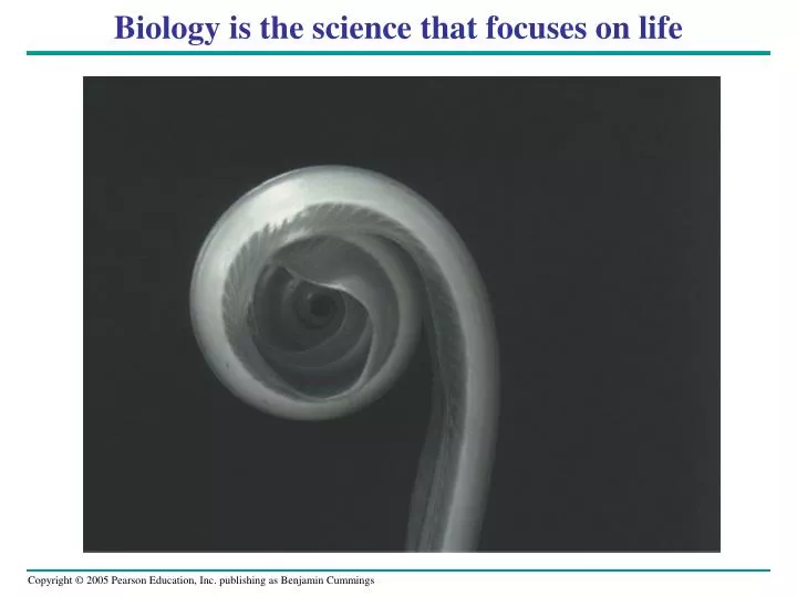 biology is the science that focuses on life