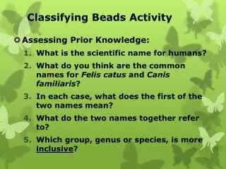 Classifying Beads Activity