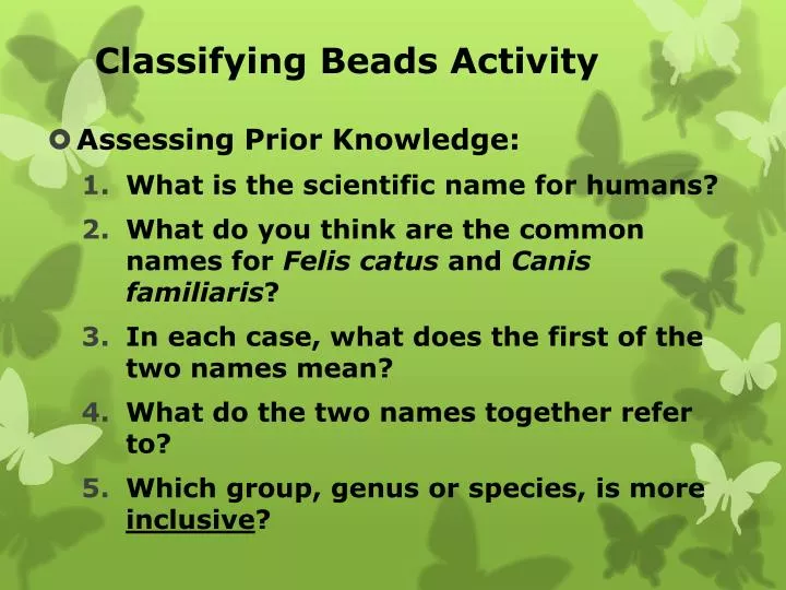 classifying beads activity