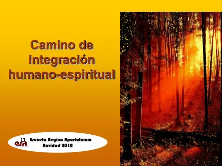 camino de integraci n humano espiritual