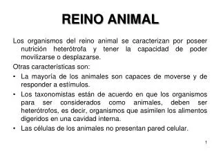 REINO ANIMAL