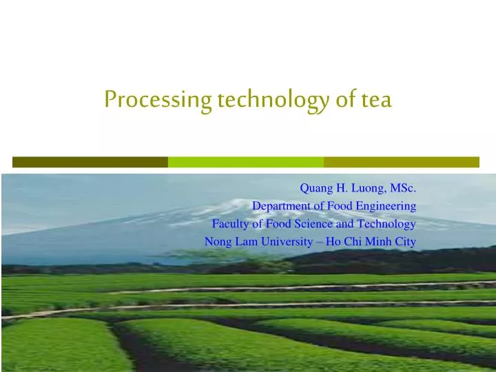processing technology of tea