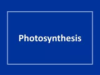 Photosynthesis