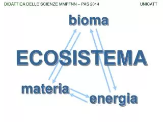 ecosistema