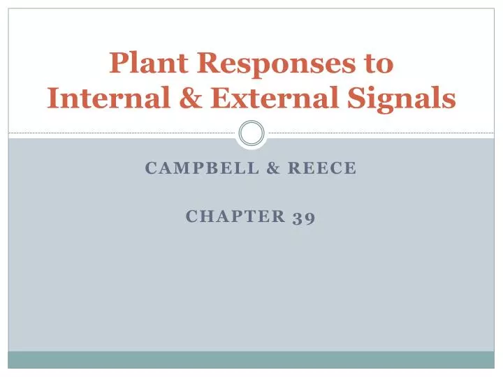 plant responses to internal external signals