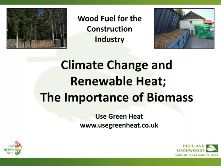 climate change and renewable heat the importance of biomass