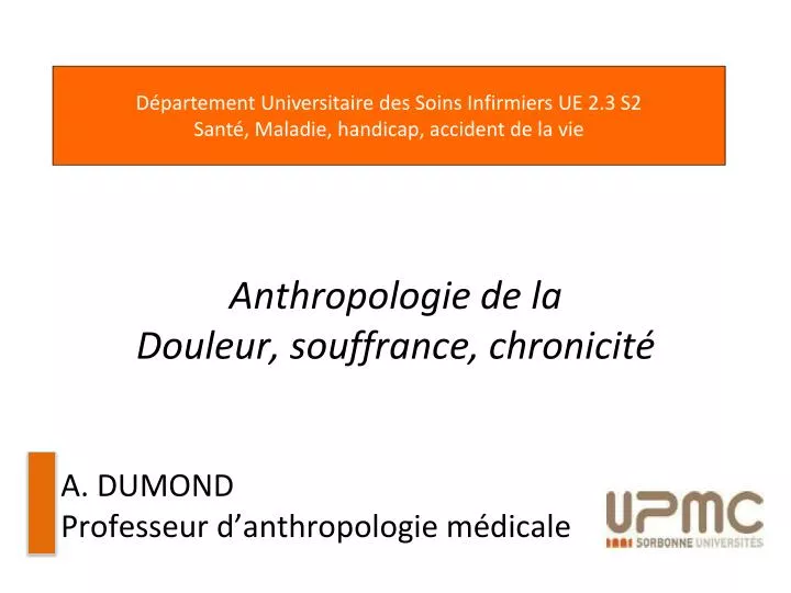 anthropologie de la douleur souffrance chronicit a dumond professeur d anthropologie m dicale