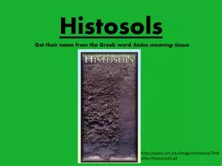 Histosols