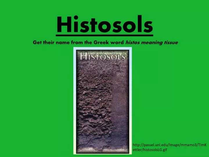 histosols
