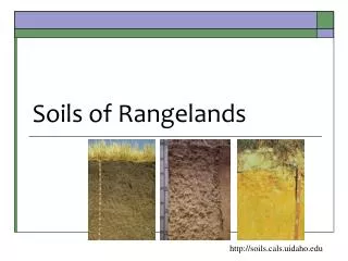 soils of rangelands