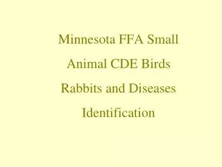 Minnesota FFA Small Animal CDE Birds Rabbits and Diseases Identification