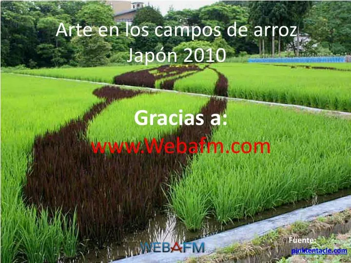 arte en los campos de arroz jap n 2010