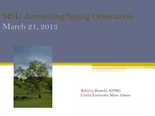 MSU Accounting Spring Orientation March 21, 2013