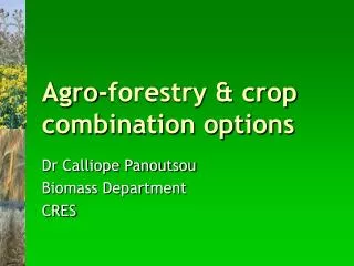 Agro-forestry &amp; crop combination options