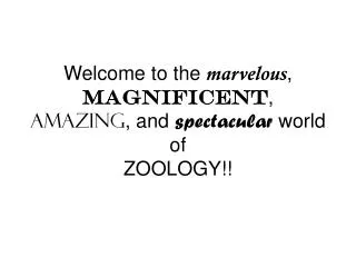Welcome to the marvelous , magnificent , amazing , and spectacular world of ZOOLOGY!!