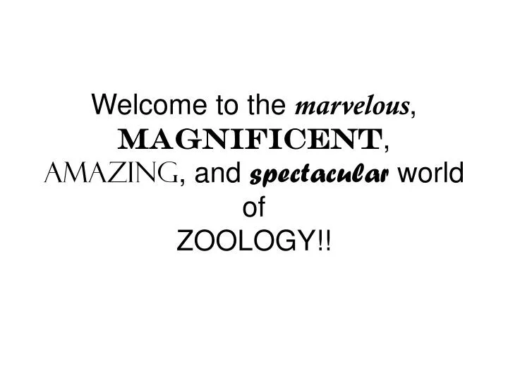 welcome to the marvelous magnificent amazing and spectacular world of zoology