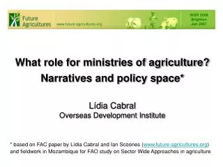 What role for ministries of agriculture? Narratives and policy space*