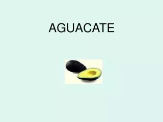 aguacate