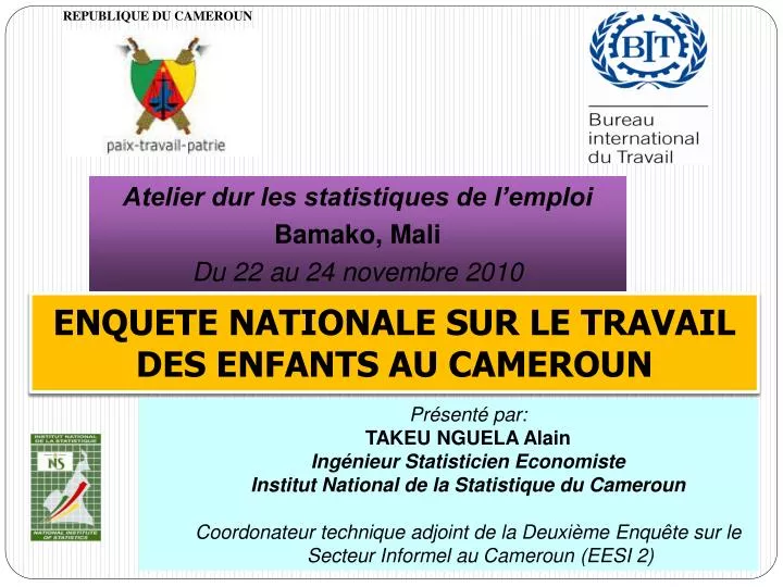 enquete nationale sur le travail des enfants au cameroun