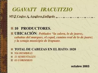 ggavatt iracuitzio