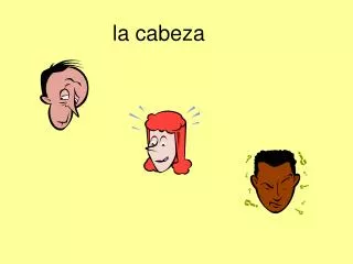 la cabeza