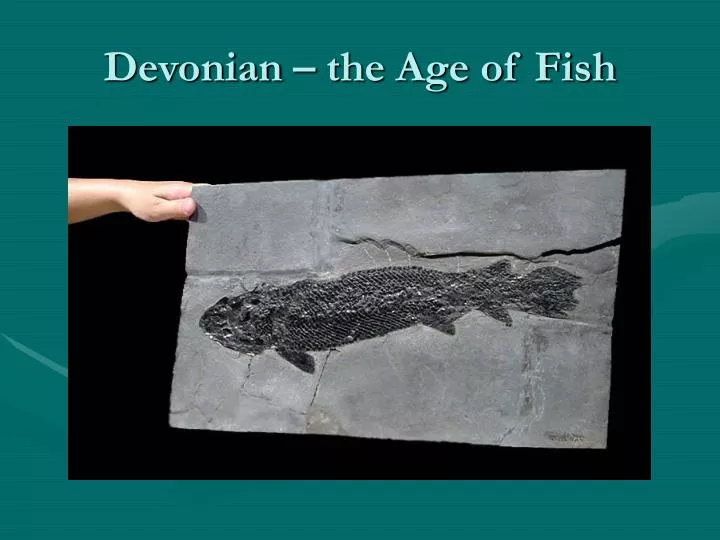 devonian the age of fish