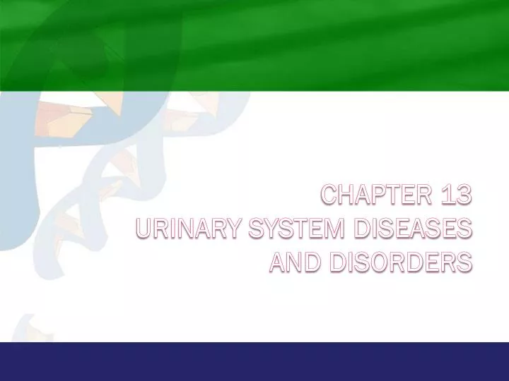 chapter 13 urinary system diseases and disorders