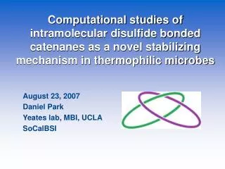 Computational studies of intramolecular disulfide bonded catenanes as a novel stabilizing mechanism in thermophilic micr