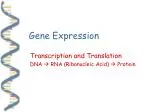 Gene Expression - slide 1