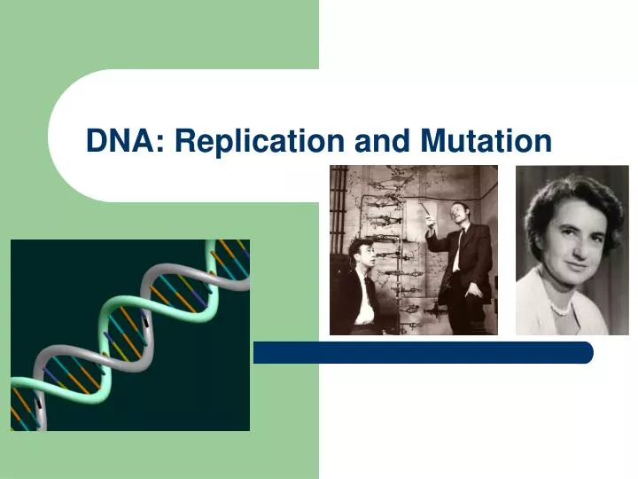 dna replication and mutation