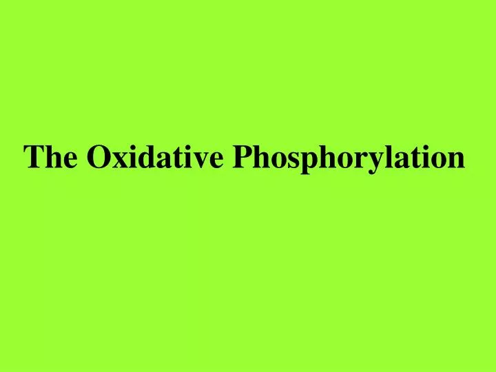 the oxidative phosphorylation