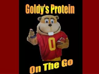 Goldy's Protein