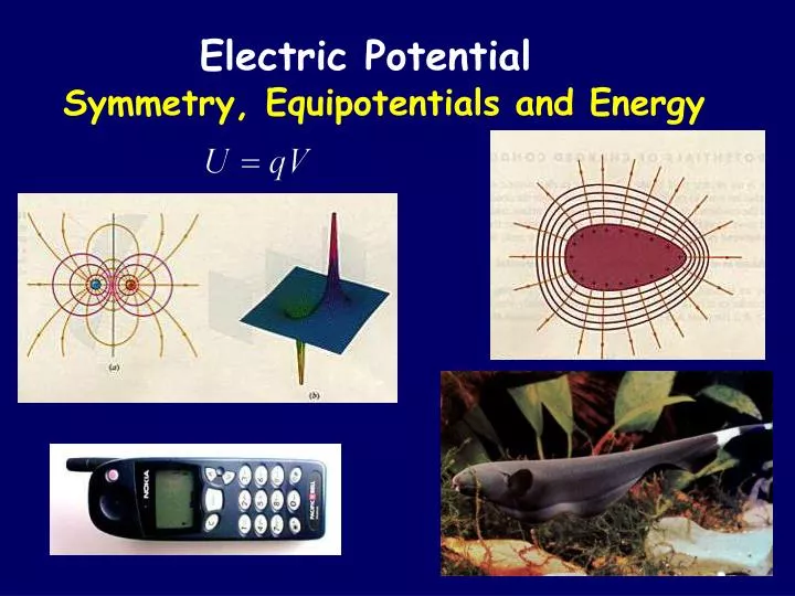 symmetry equipotentials and energy