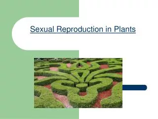 Sexual Reproduction in Plants