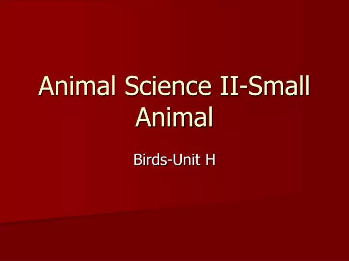 animal science ii small animal