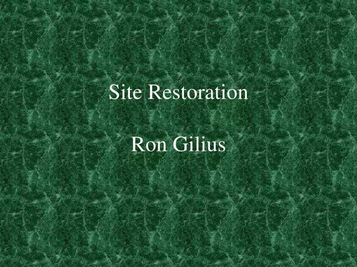 site restoration ron gilius