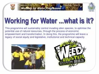 Working for Water ...what is it?