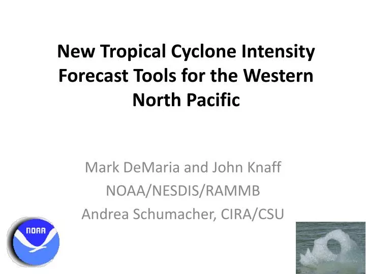 new tropical cyclone intensity forecast tools for the western north pacific