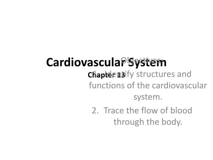 cardiovascular system chapter 13