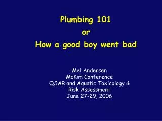 Plumbing 101 or How a good boy went bad